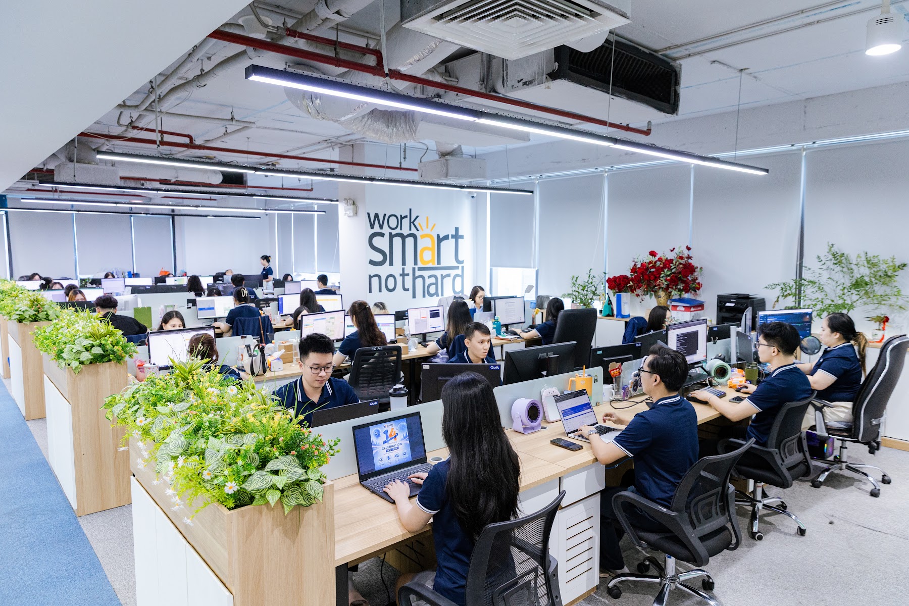 VINATTI colleagues working in the office